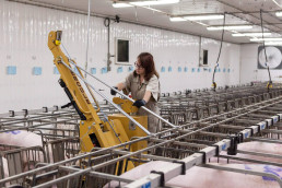 Brazo de H&eacute;rcules